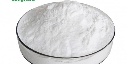 Andrographis Extract Andrographolide