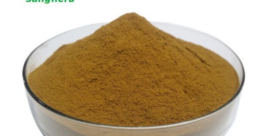 Angelica Extract