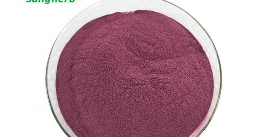 Bilberry Extract