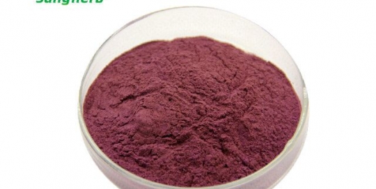 Elderberry Extract