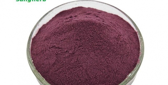 Grape Seed Extract 45%~80% Polyphenols; 80%~95% OPC