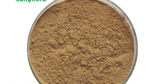 Green Coffee Bean Extract Chlorogenic acid 25%, 30%, 45%, 50% ,60%, 98%