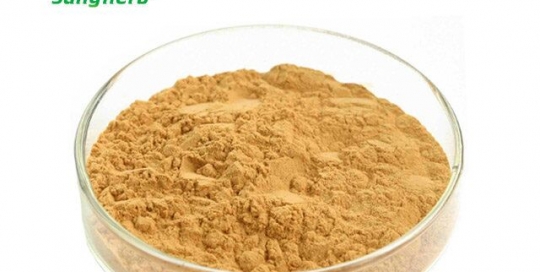 Gynostemma Extract Gypenosides 10%~98%