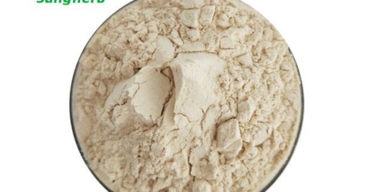 Dehydrated horseradish powder