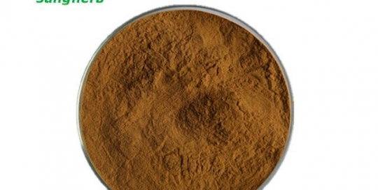 Oolong Tea Extract