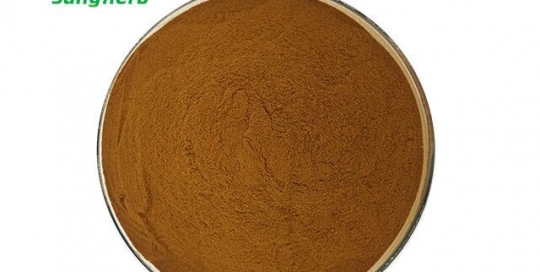 maca powder