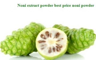 noni fruit