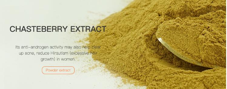 chaste tree extract