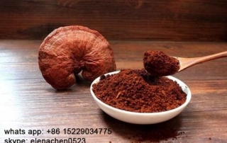 Ganoderma lucidum polysaccharides