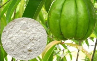 Garcinia Cambogia Extract