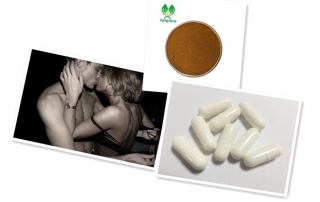 Tribulus Terrestris extract