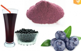 Blueberry powder