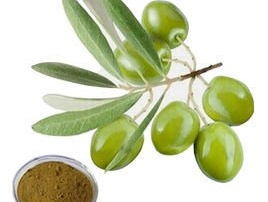 Olive leaf extract