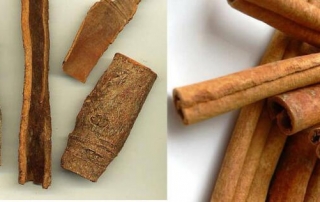 Cinnamon Bark