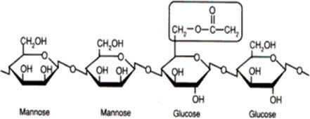 Konjac glucomannan