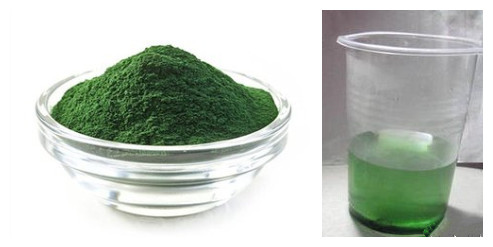 spirulina