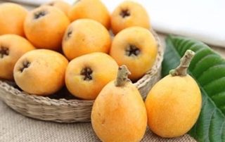 Loquat powder