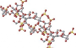 polysaccharide