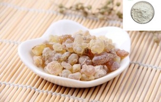 Boswellia Extract