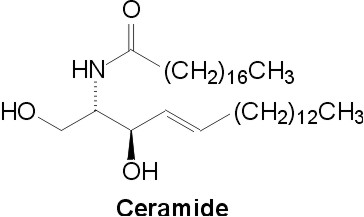 ceramide