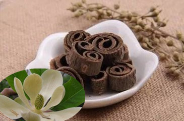 10 effects of Magnolia Bark Extract - Sangherb